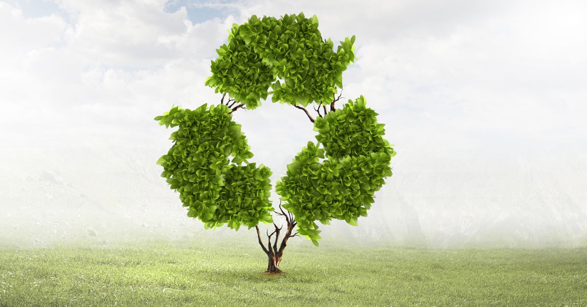 Recycling Alone Isn’t Enough: Why Reduction Is the Key to Meeting Sustainable Packaging Goals