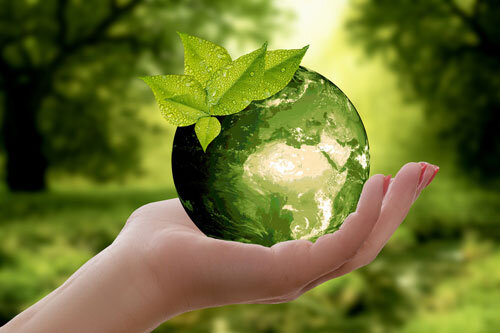 HOW TO PROMOTE ENVIRONMENTAL SUSTAINABILITY WITHIN YOUR COMPANY
